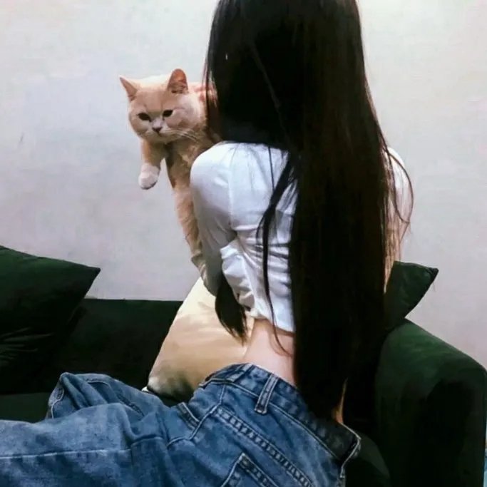 黑猫1972
